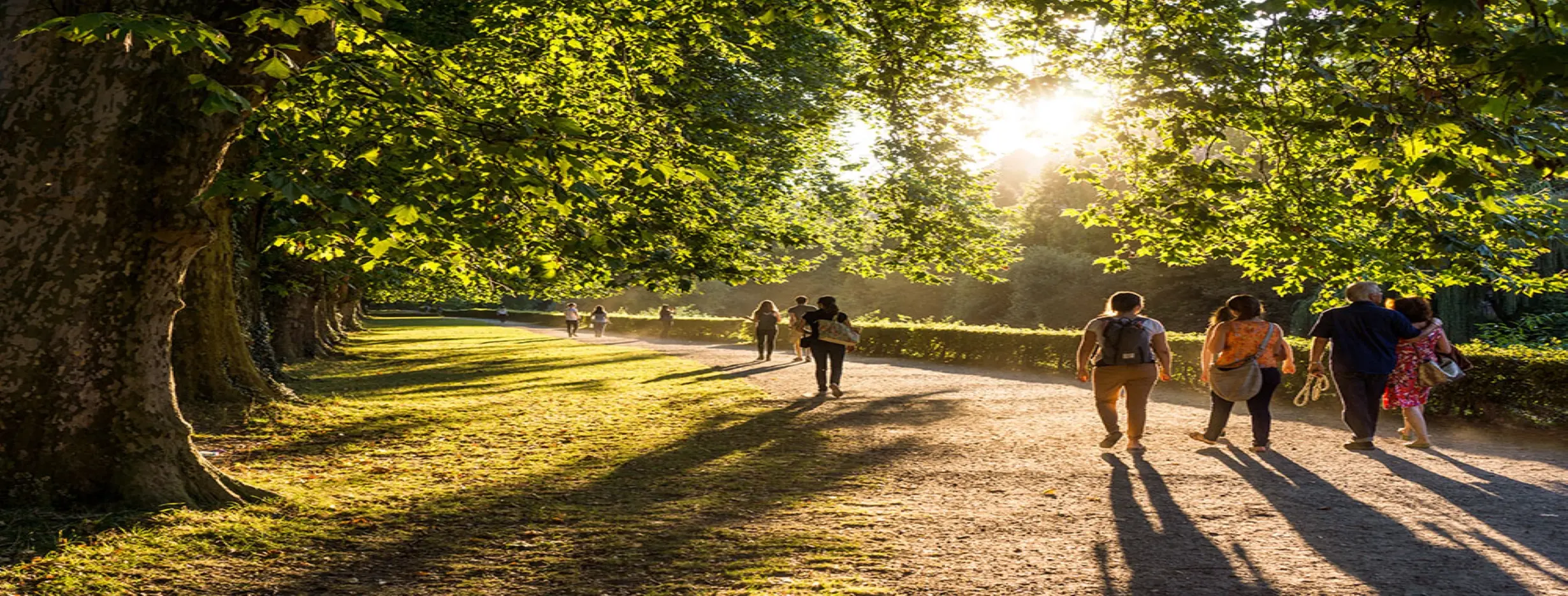 Image for Park Strolls